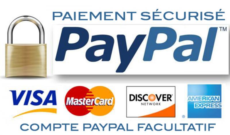 Pourquoi choisir Paypal comme module de paiement pour sa boutique en ligne ?